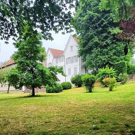 Bed and Breakfast Domaine De La Moselle Saint-Maurice-sur-Moselle Exterior foto