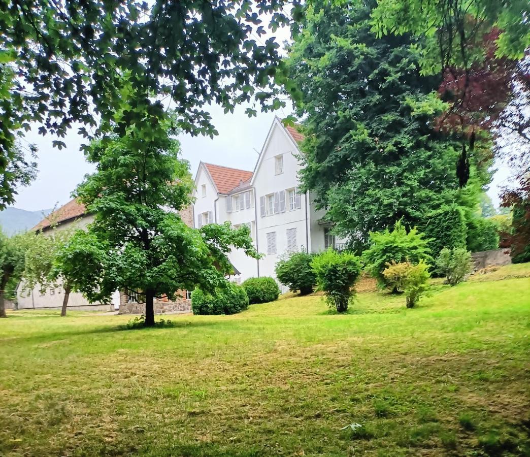 Bed and Breakfast Domaine De La Moselle Saint-Maurice-sur-Moselle Exterior foto